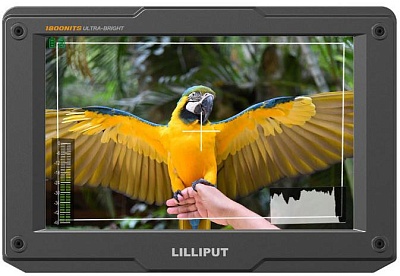 Lilliput H7S