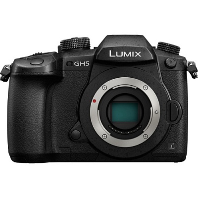 Камера Panasonic GH5