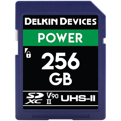 Карта памяти Delkin Devices Power SD 256GB