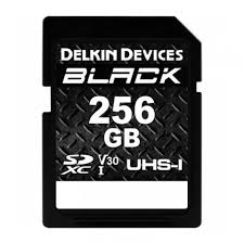 Карта памяти Delokin Devices Black 256 GB UHS-1 V30